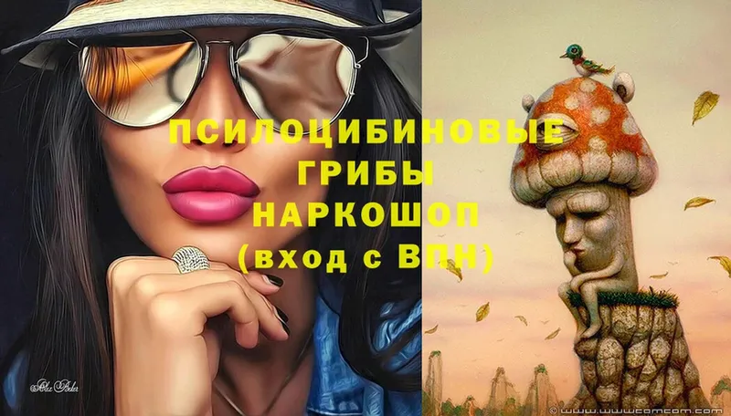 Псилоцибиновые грибы Magic Shrooms  Северодвинск 